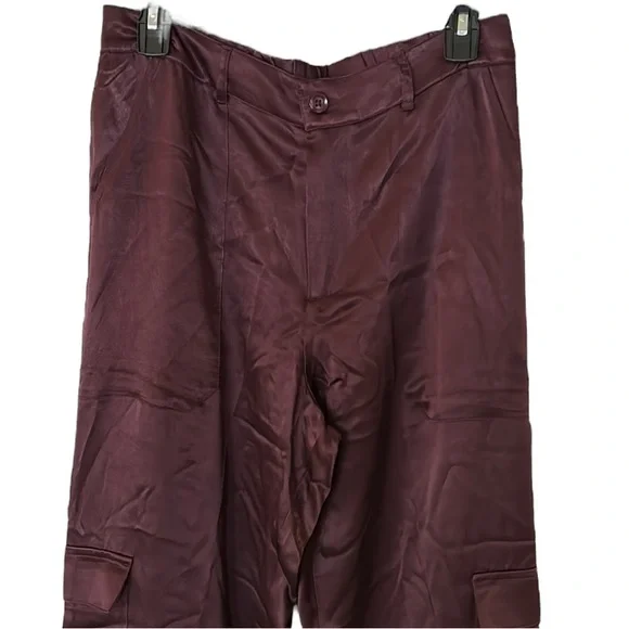 NWT Young Fabulous & Broke Findlay Satin Cargo Carpenter Pants in Raisin - M - Picture 6 of 16